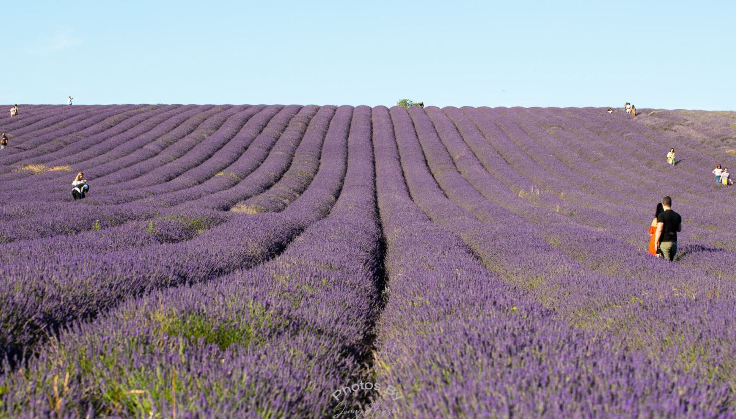 Lockdown One Year On: Hertfordshire readers send their favourite photos from the past 12 months