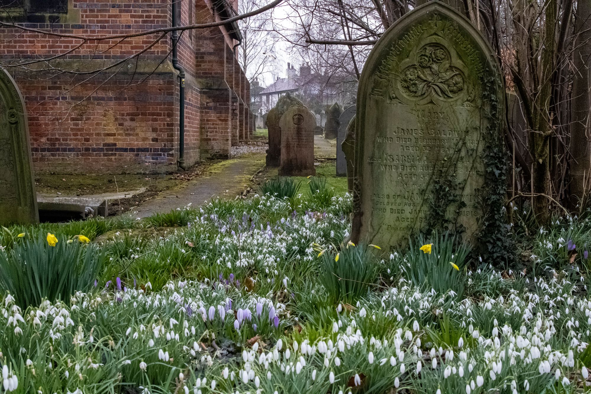 Scene By You Ormskirk - April 22: Pictures of West Lancashire captured by local photographers