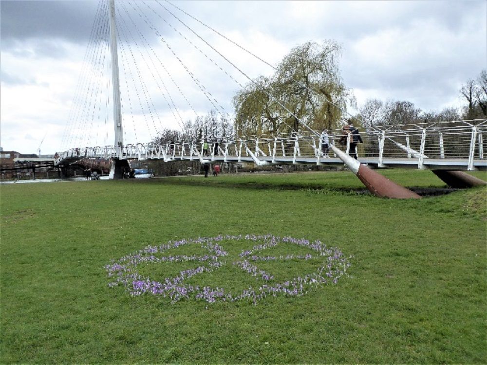 Reading Rotary Club plant wheel of crocuses as reminder of Rotary International's work with Polio