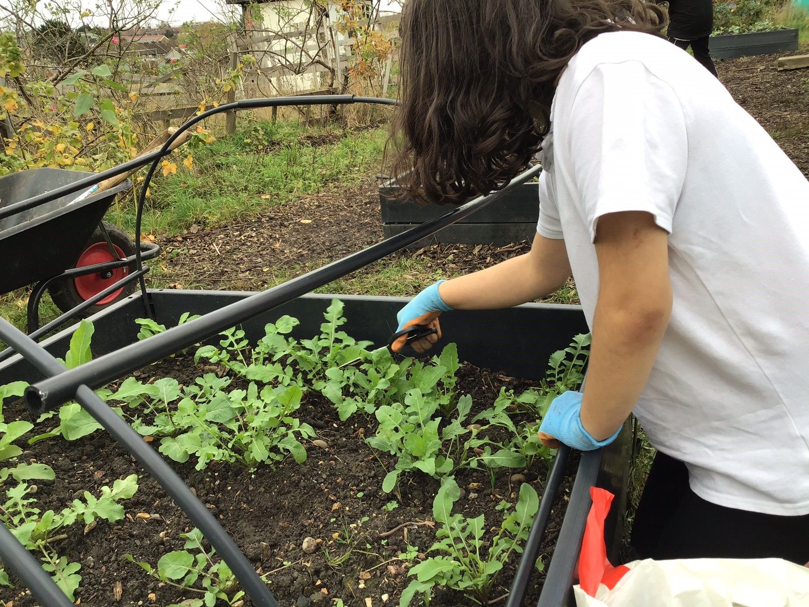 Walthamstow school pupils take part in environmental activities as part of special Green Week