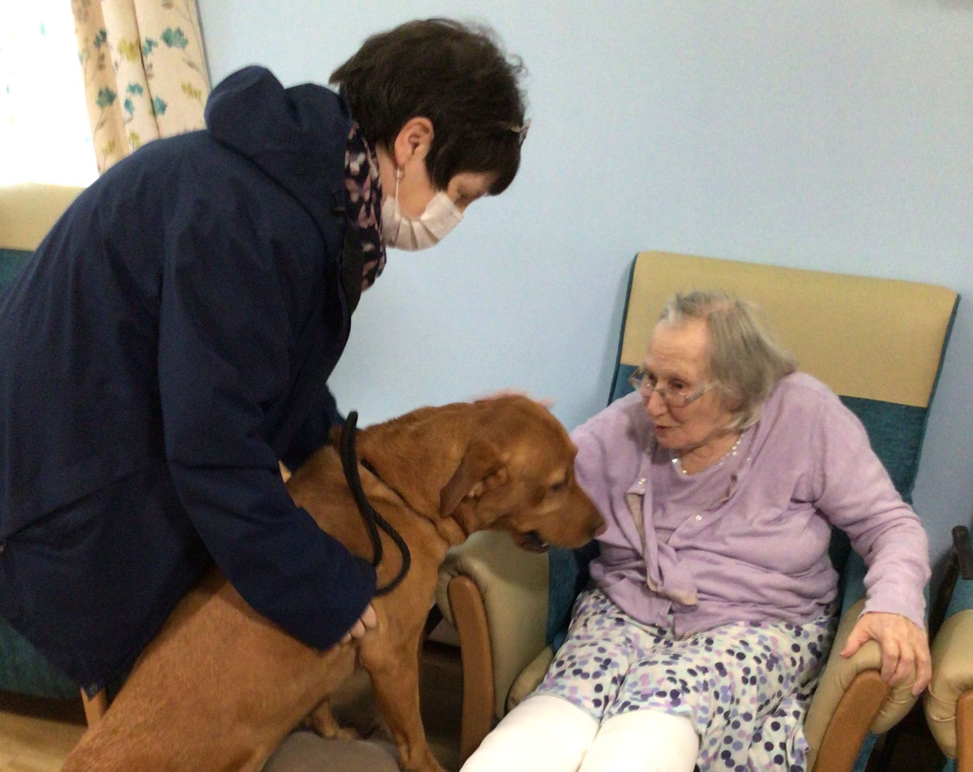 Canterbury care home welcomes canine visitor