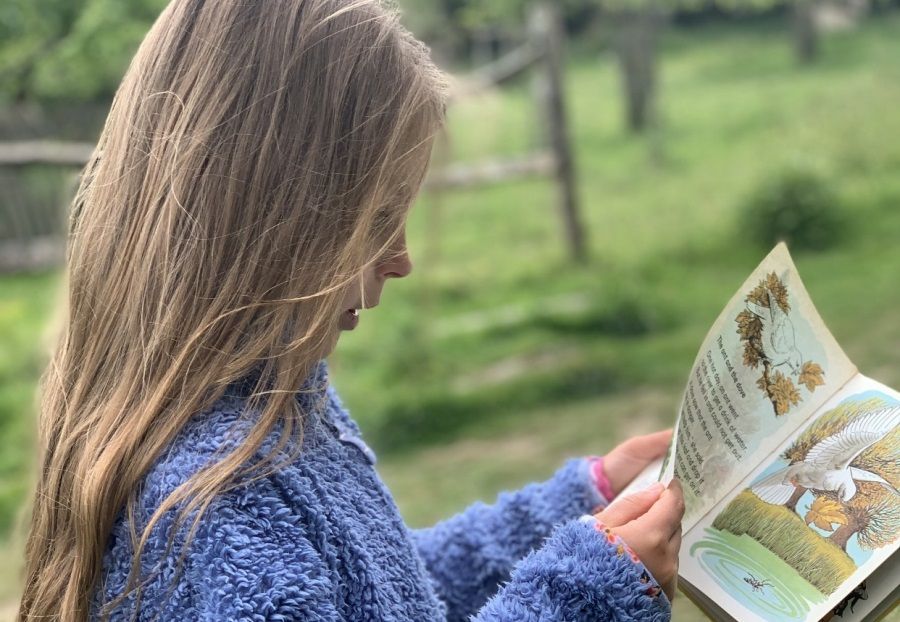 Bird of prey charity in Andover says selfless acts of youngsters are 'wind beneath our wings'