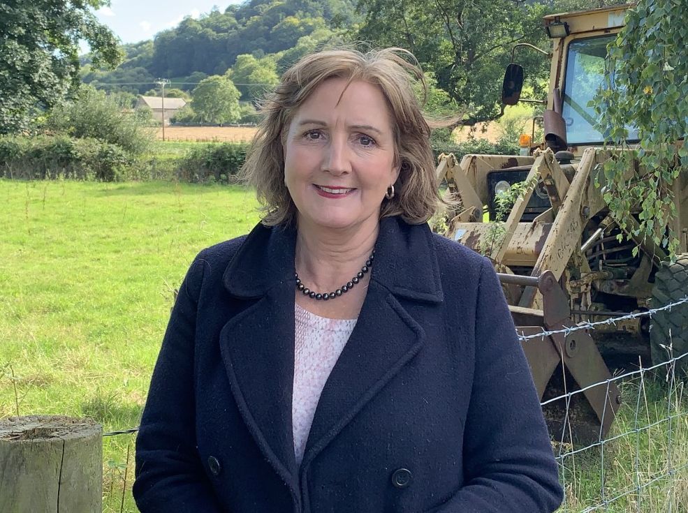 New levy formula for red meat welcomed by Aberconwy MS