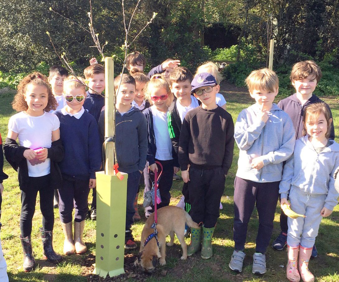 Thanet pupils look forward to fruit from their own orchards