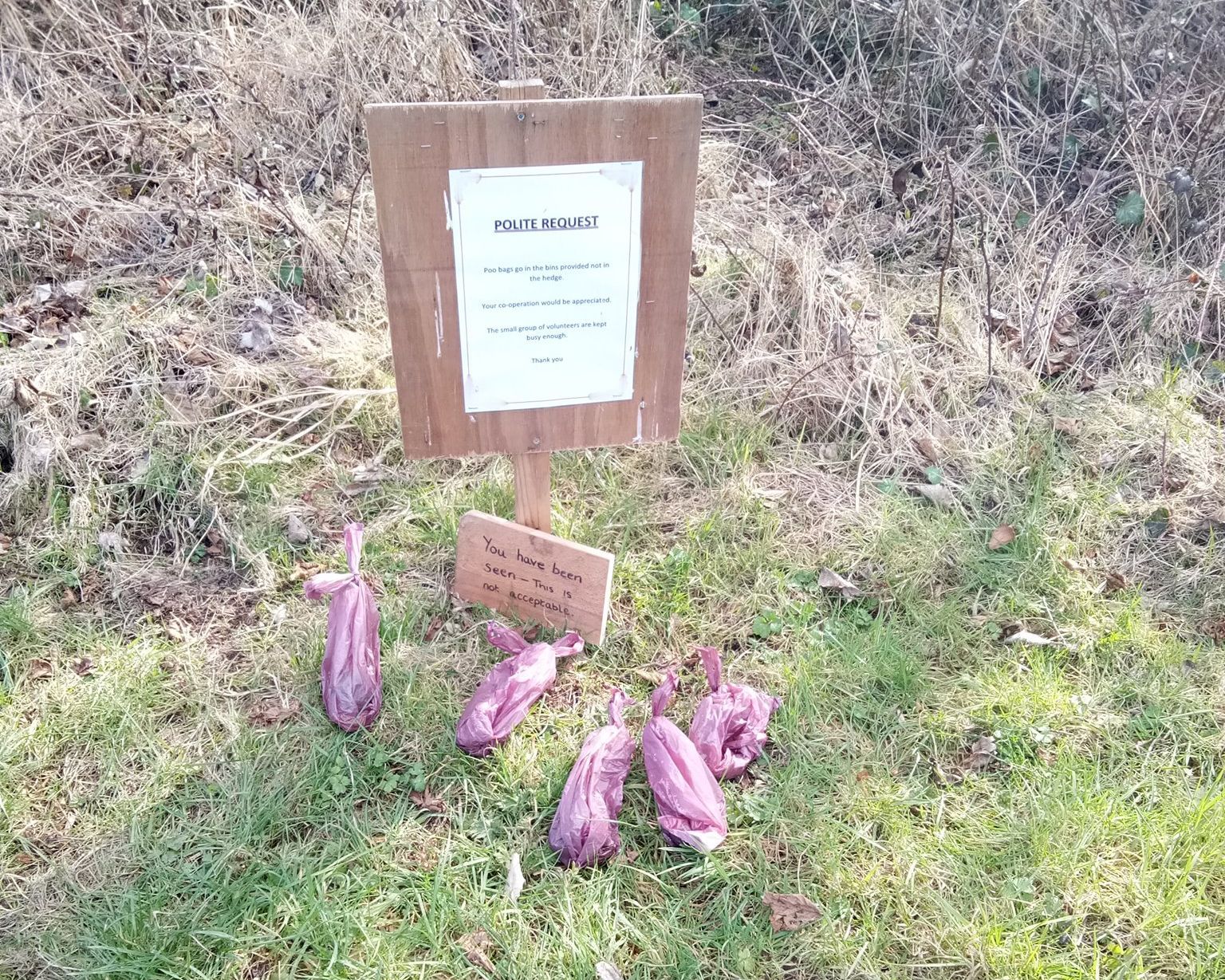 Anger as dog poo is left beside sign asking people to take it home