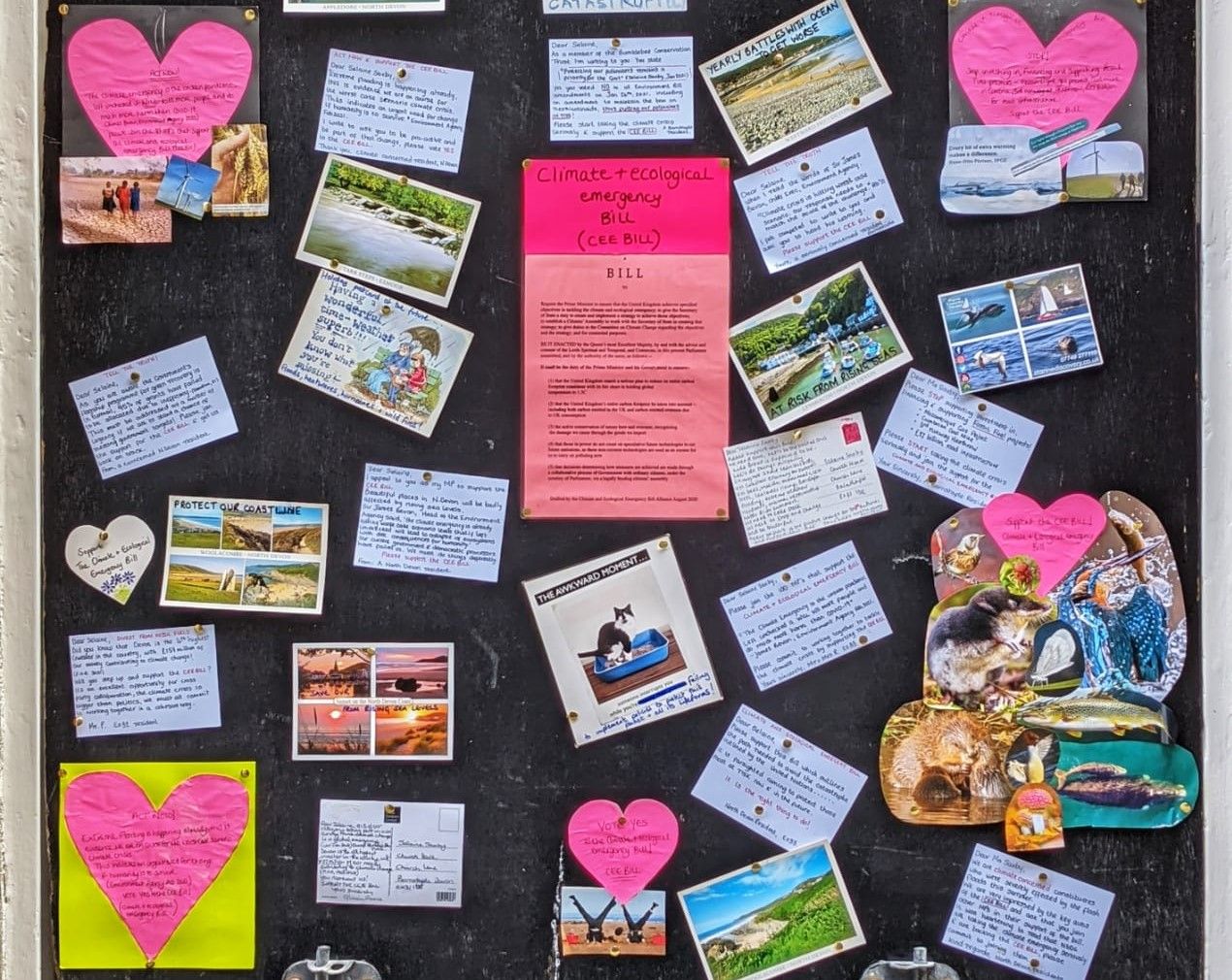Campaigners send postcards to MP urging climate bill support