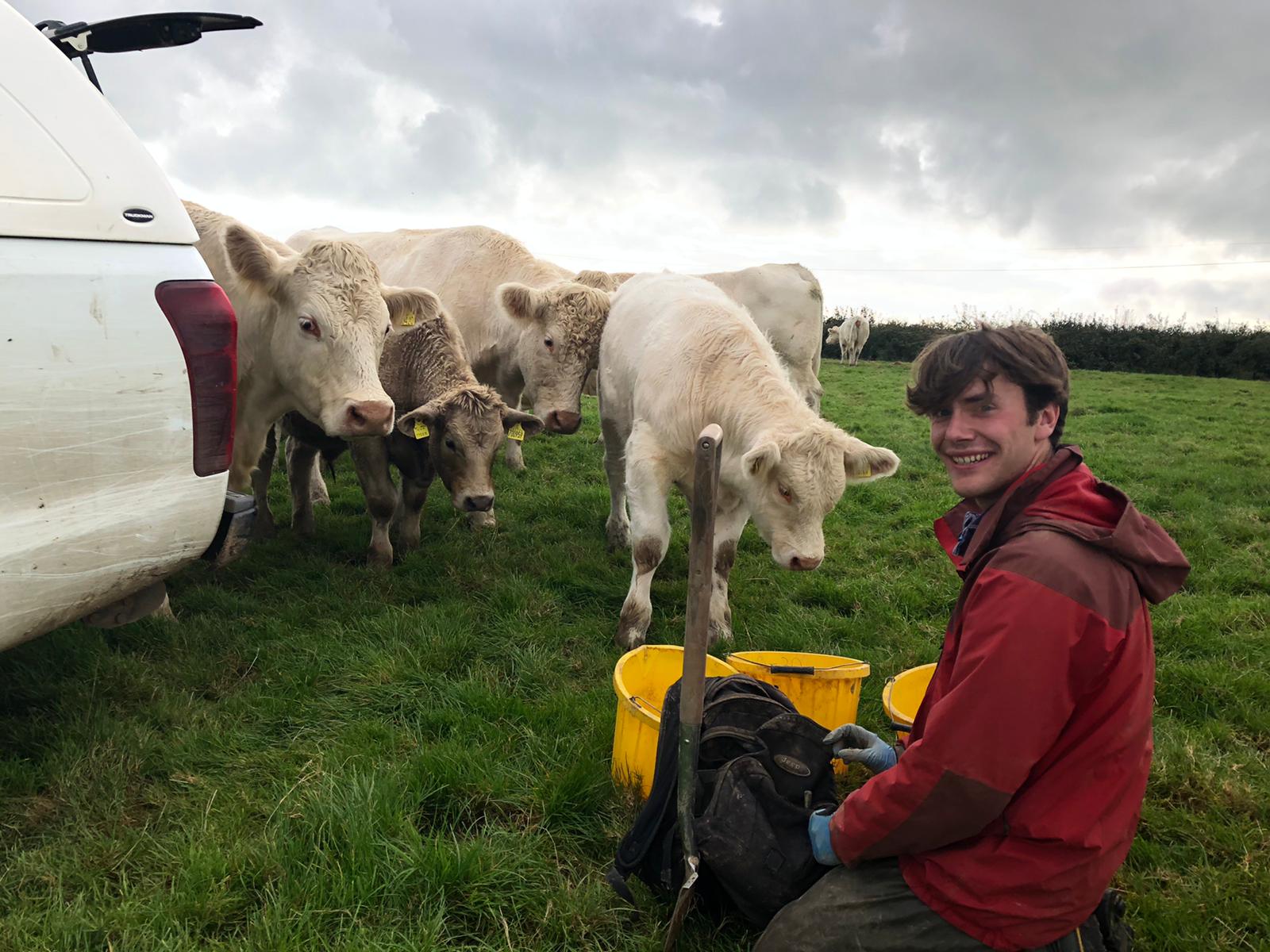 Project launched to help South East Cornwall farms reduce carbon emissions