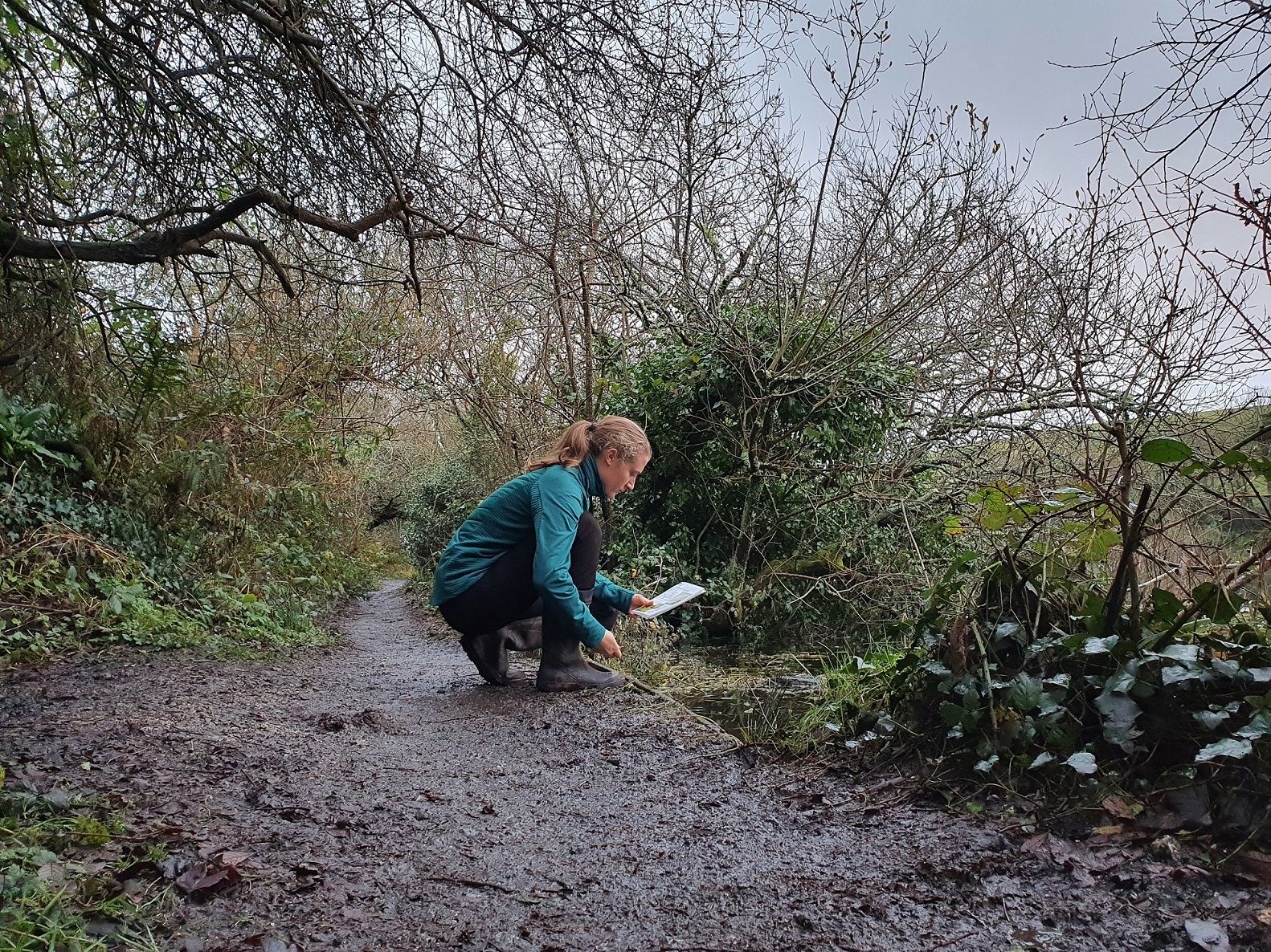 Work underway to ensure biosecurity at Devon and Cornwall lakes