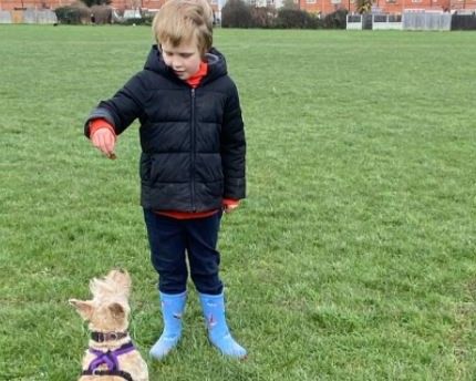 Young dog walker strides ahead in dog walking competition