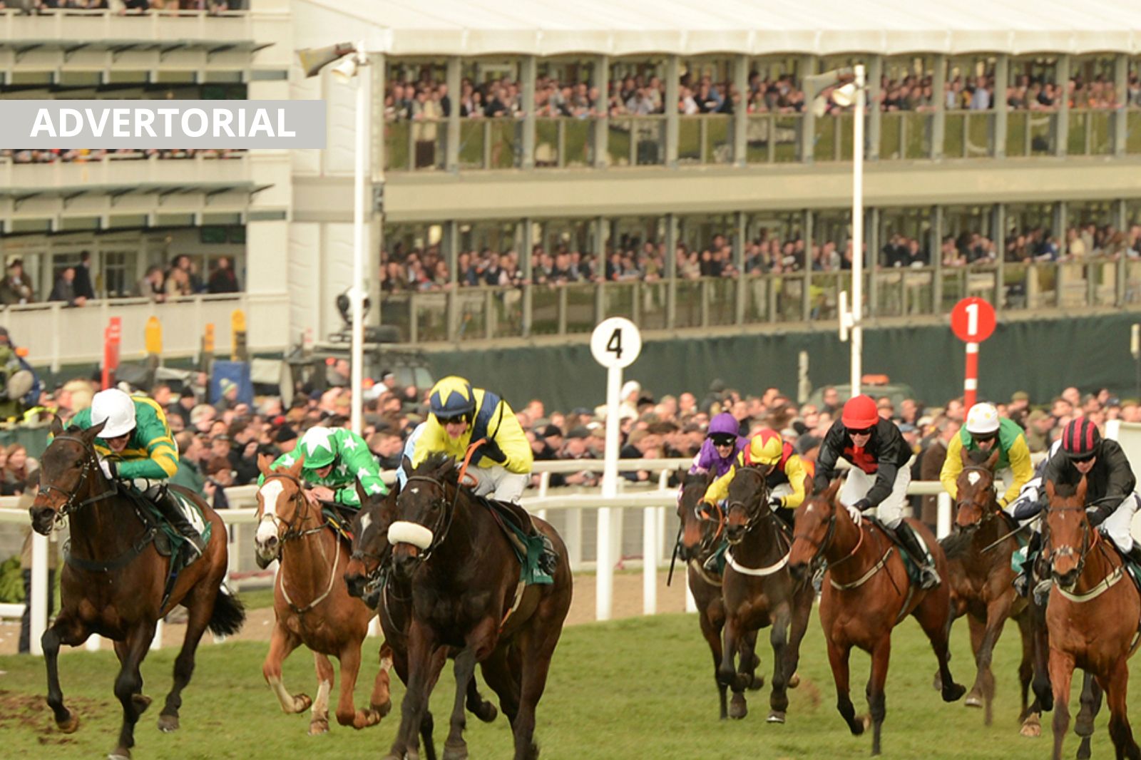 A chance to win a share in one of Deva Racing’s top horses, Mountbatten