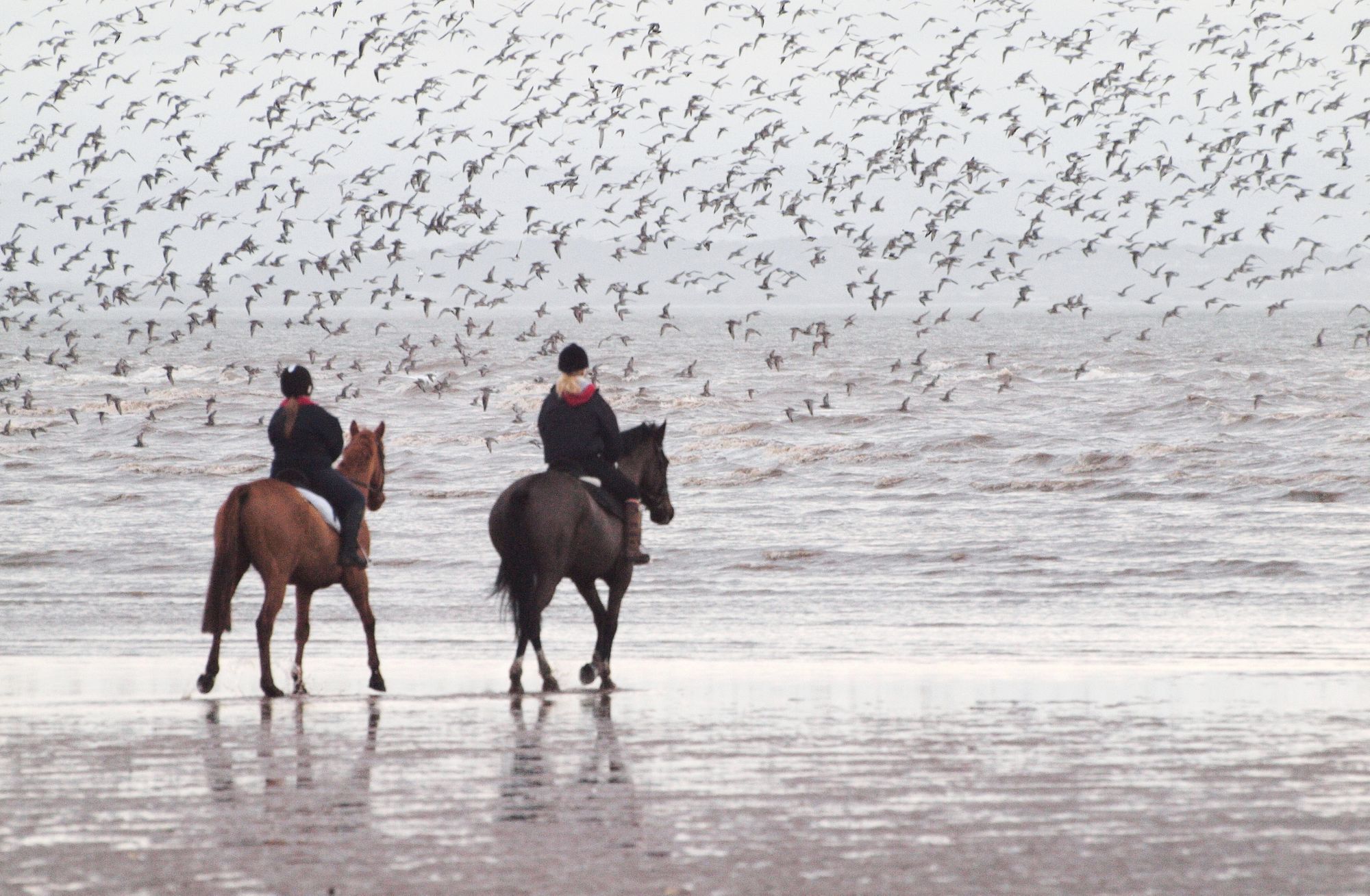 Sefton Coast column: As lockdown restrictions ease, respect, protect and enjoy the coast