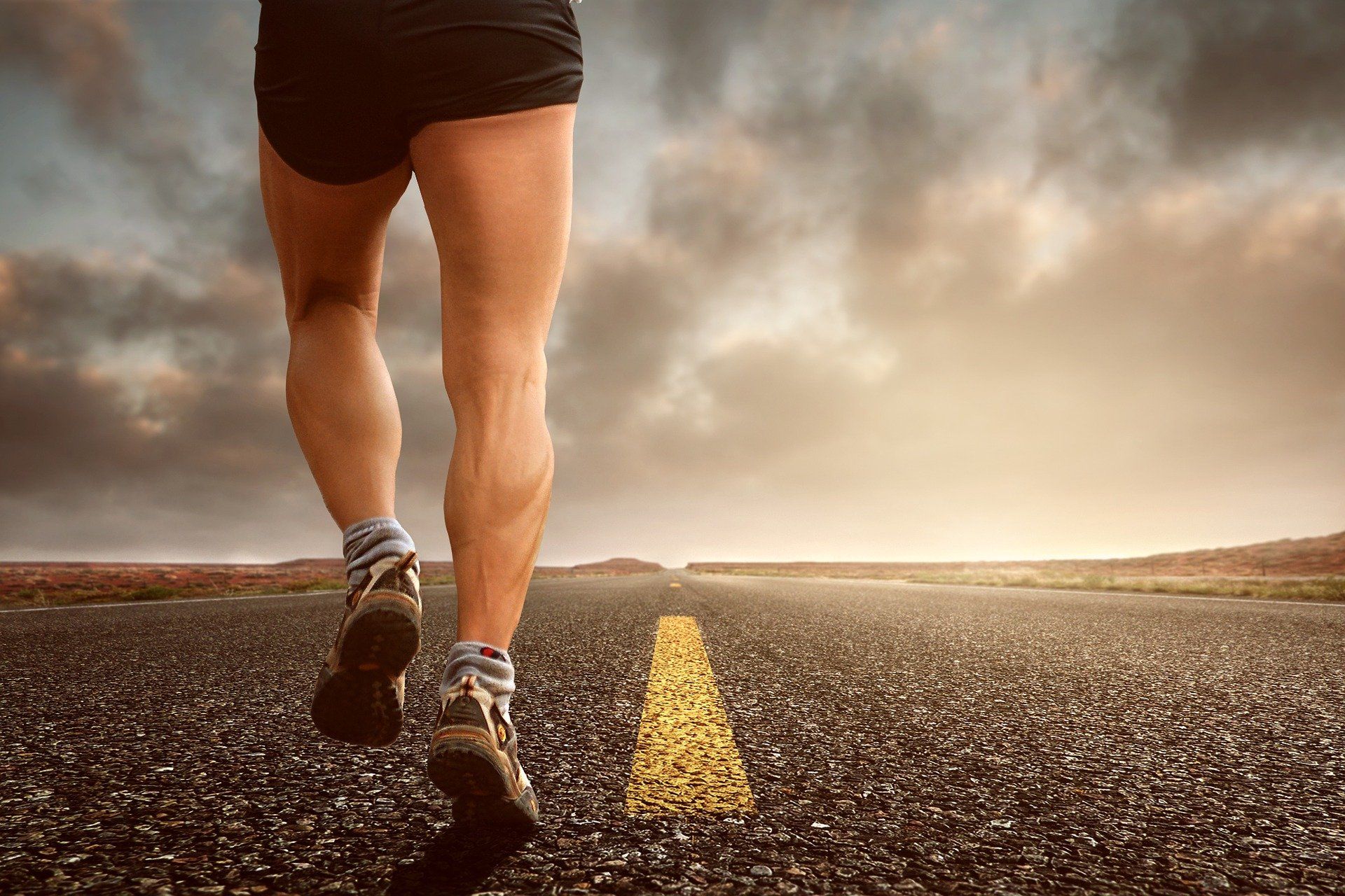 Sunderland social enterprise team to take on gruelling challenge for charity
