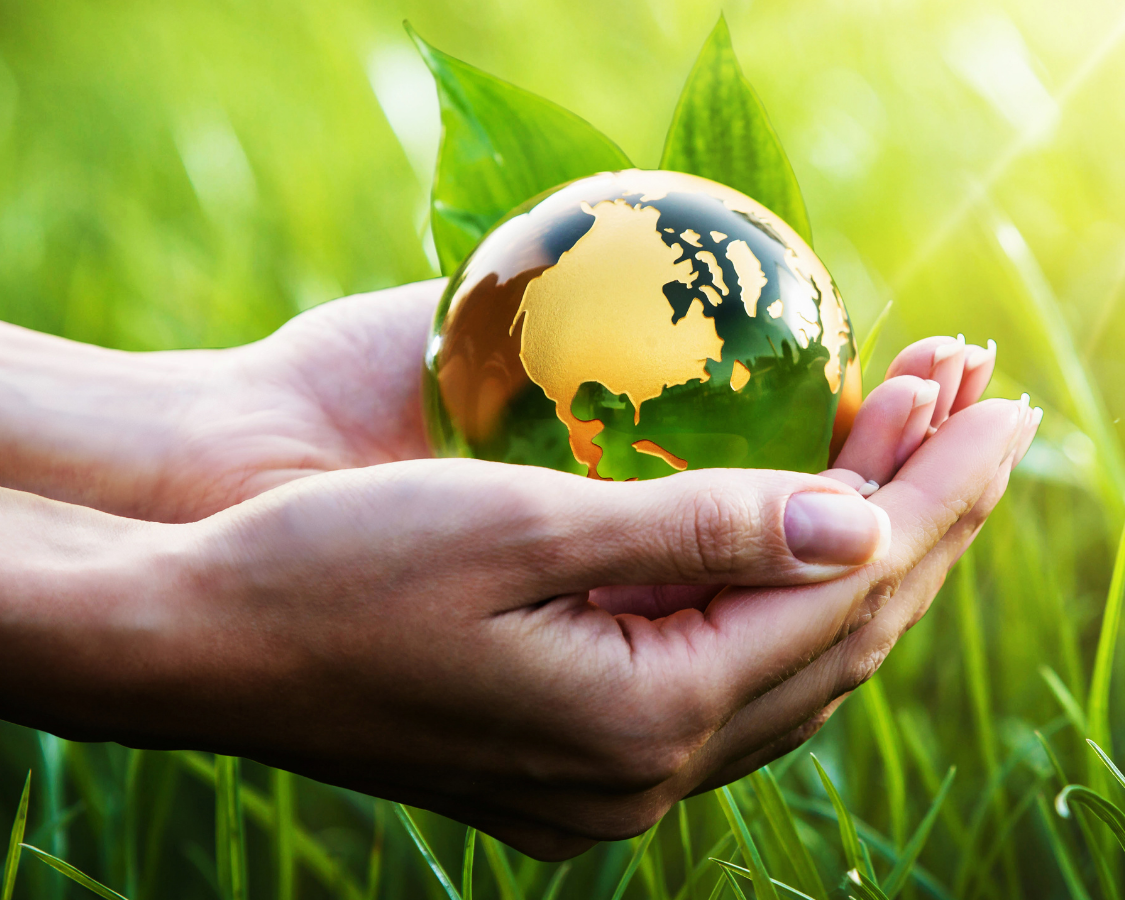 Improve your life and reduce carbon footprint during Lifestyle Spring Clean Week