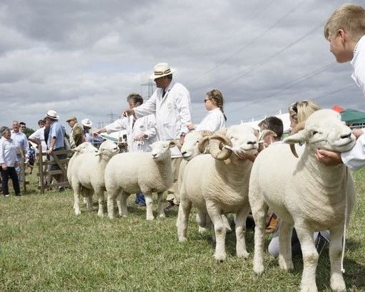 Organisers of North Devon Show 'devastated' by 2021 cancellation