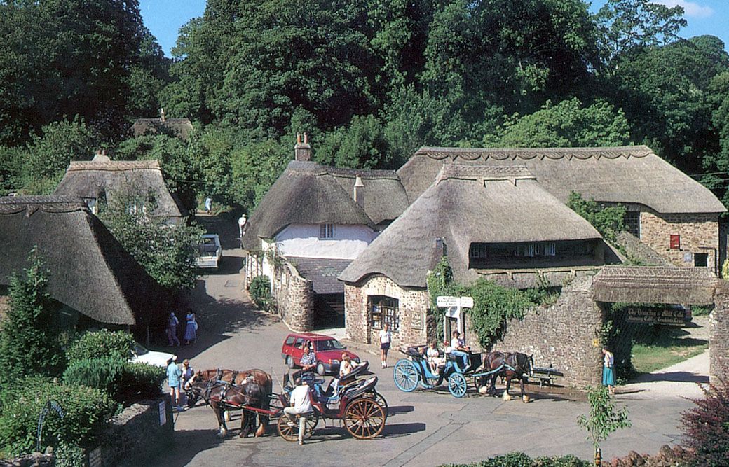 Road up and trees down in Cockington as 'essential' works begin