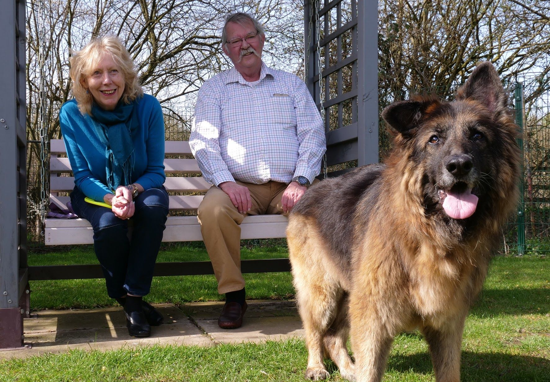 Dog hurled into a river with rock around her neck finds forever home