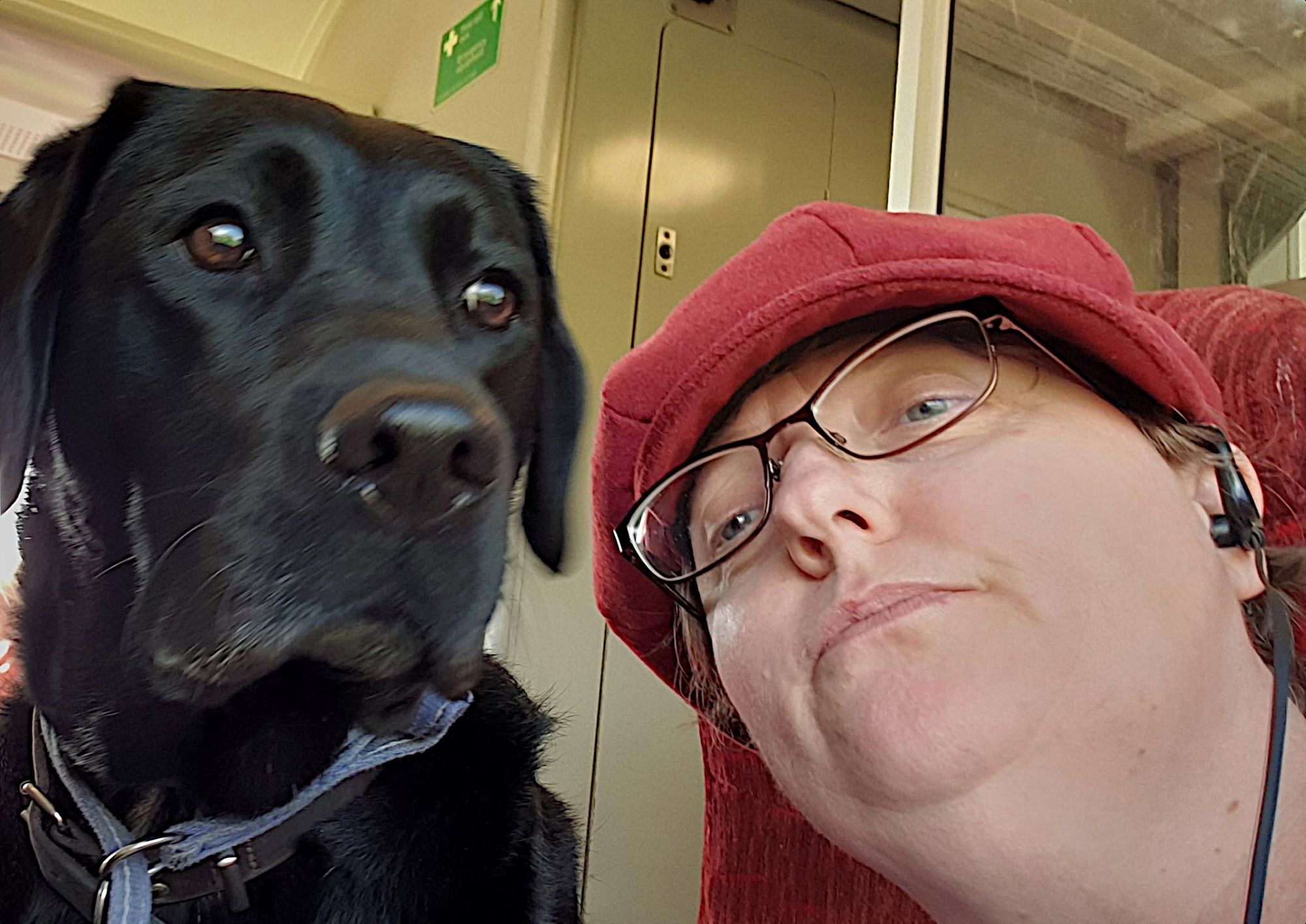 Leicestershire woman launches guide dog group