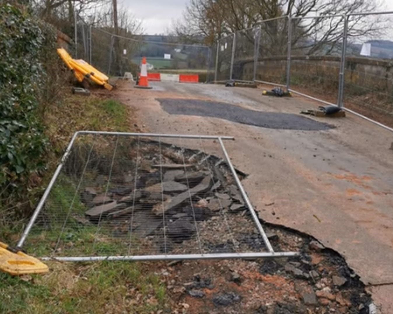 Parish council want answers on Herne Bridge badger woes