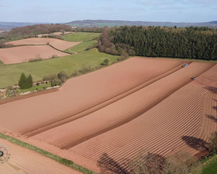 Take a look at the incredible process of potato planting in Uffculme
