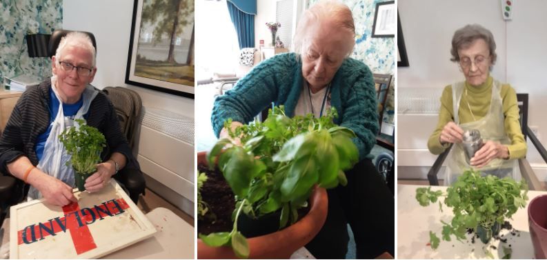 Hinckley care residents get 'green fingers' for National Gardening Week