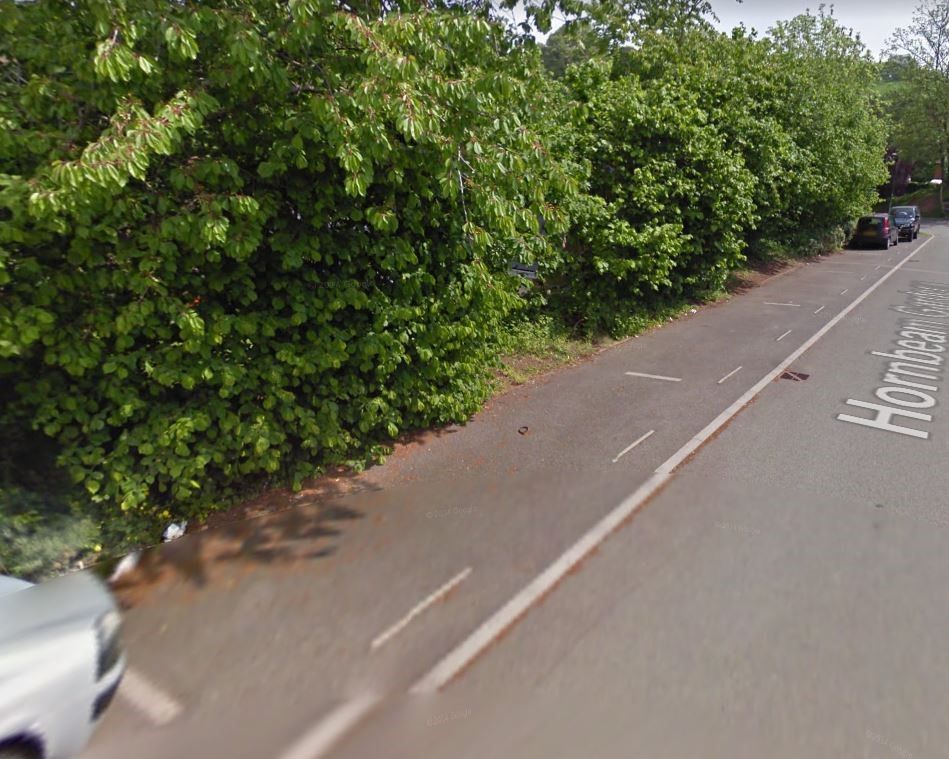 Bradninch councillors look to find more space to alleviate parking woes