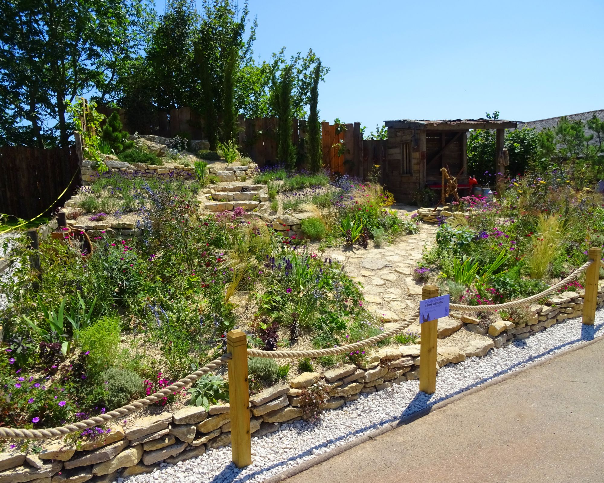 The Donkey Sanctuary’s Chelsea garden wins again