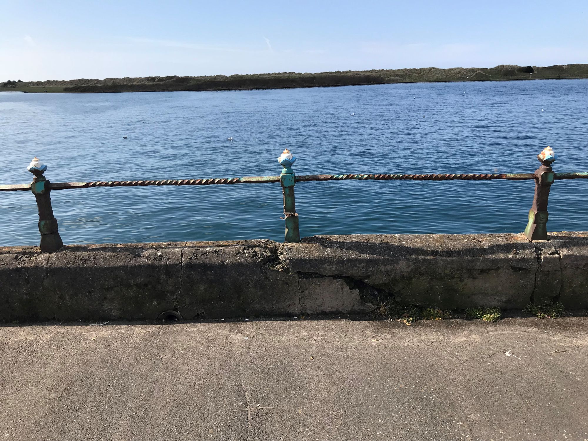Promenade railings treatment can 'unlock' Southport's potential claims campaigner
