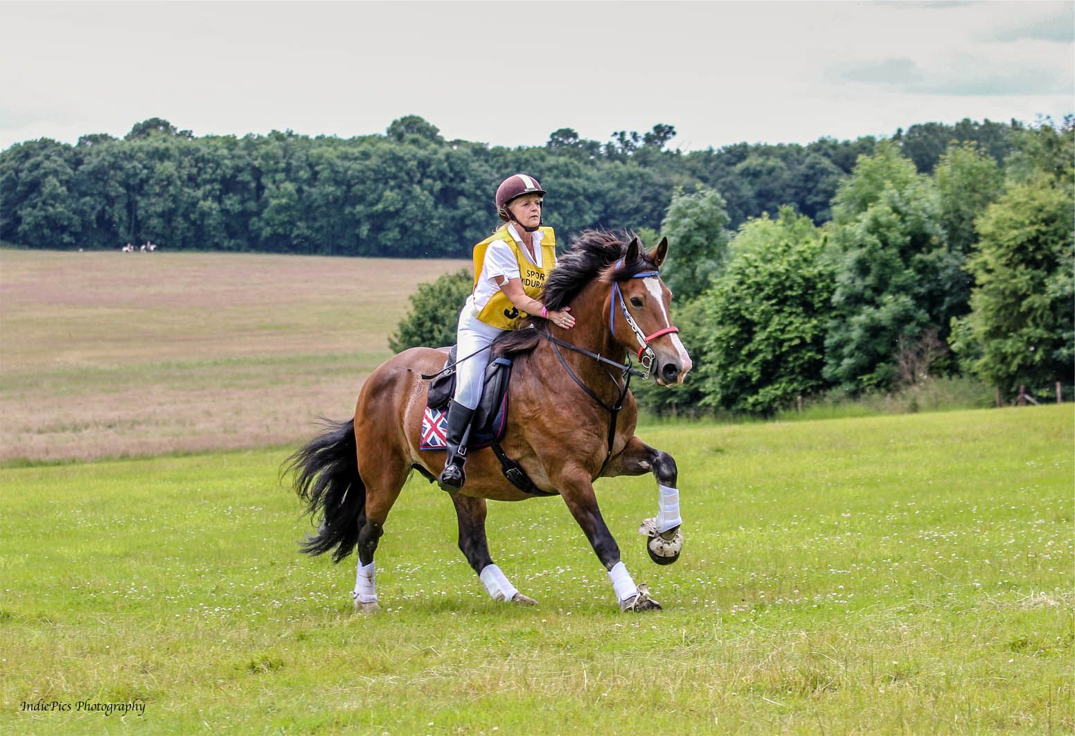 Rotary members saddle up for horse-riding charity event