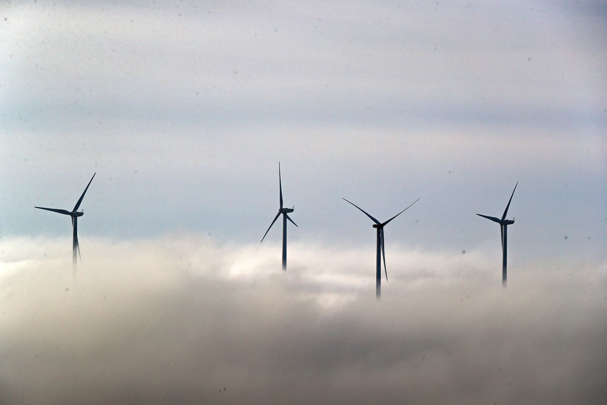 Climate change lobby group reveals survey results