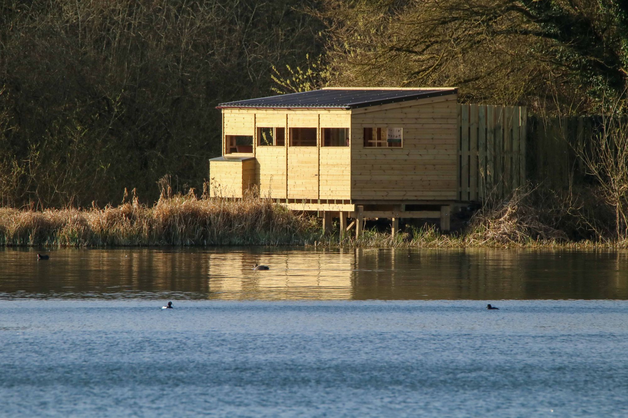 New wildlife hide at Tring Reservoirs dedicated to Herts naturalist