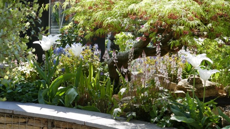 A bumper crop of beautiful gardens to visit across Herts