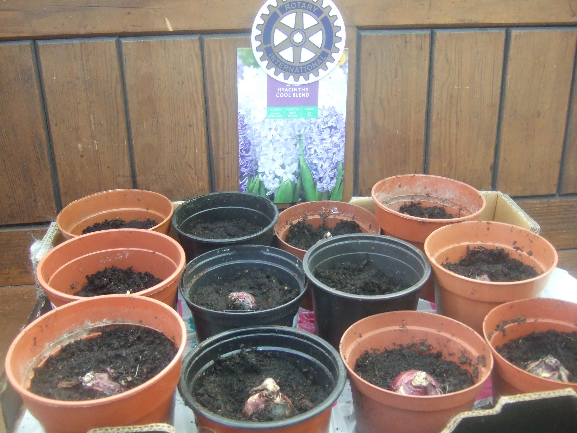 Rotary Club of Eckington & District: a round-up of recent activities