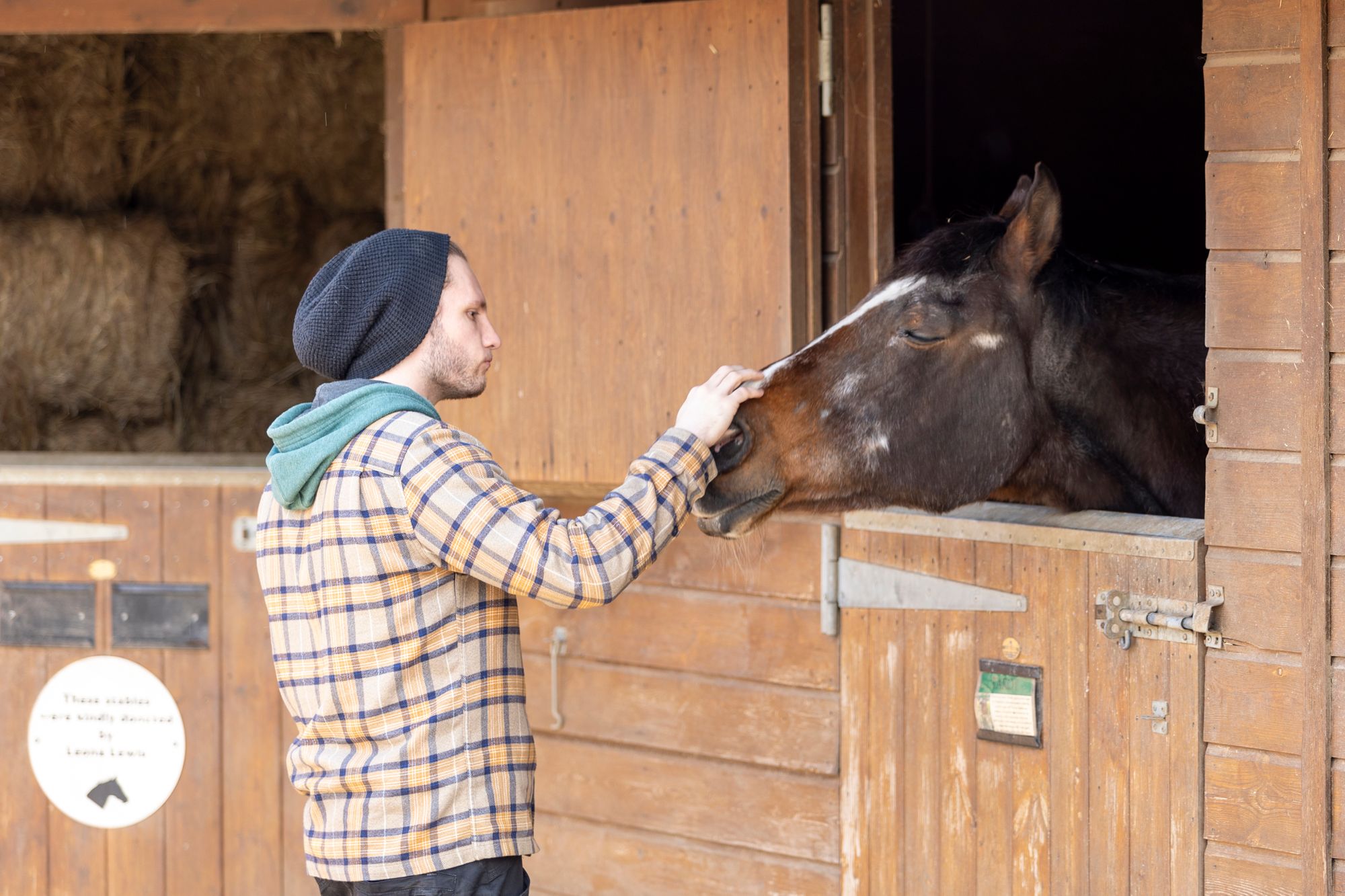 Hopefield Animal Sanctuary asks for public help to open life saving animal hospital