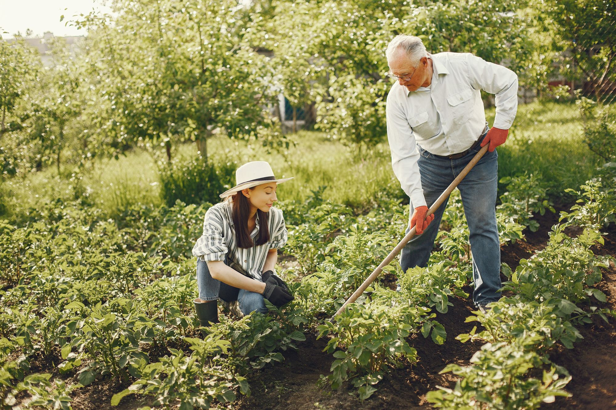 Levenshulme company to donate 100% of profits during National Gardening Week