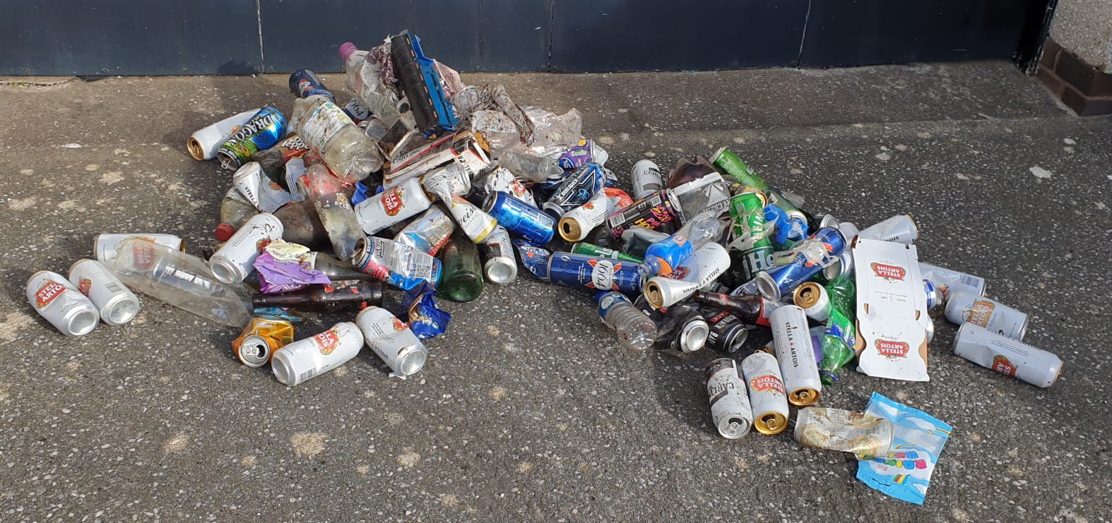 Llandudno PCSO helps community groups on litter-pick