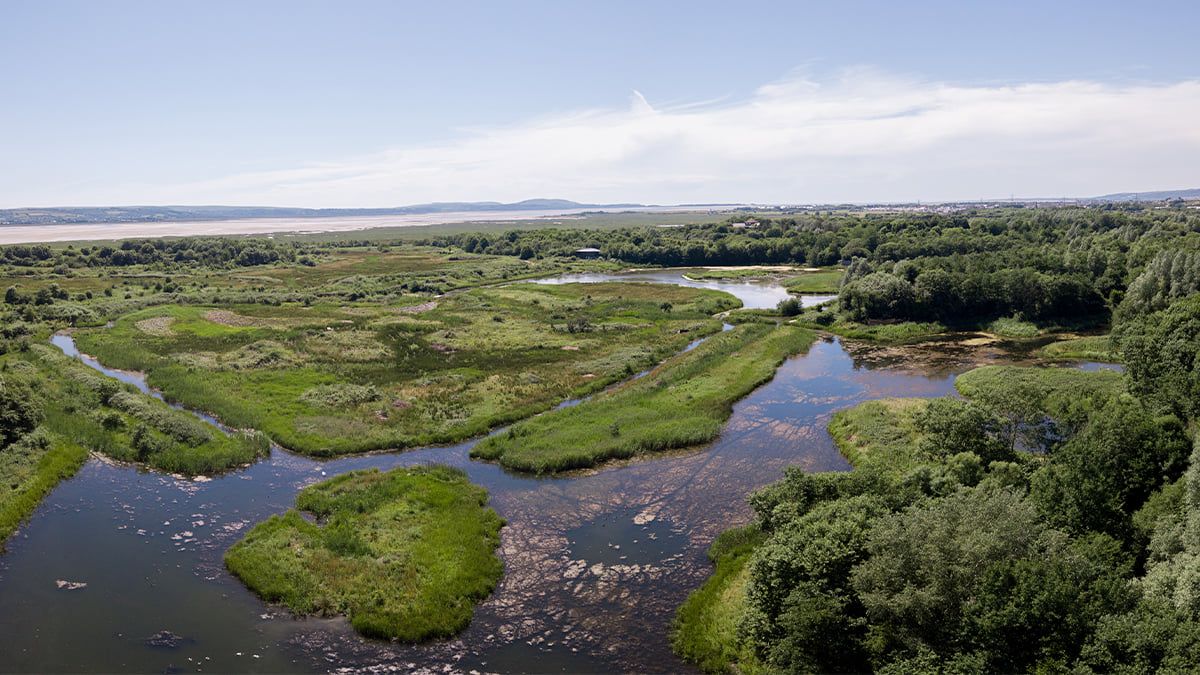 Llanelli's Wildfowl and Wetlands Trust nature reserve marks 30th anniversary