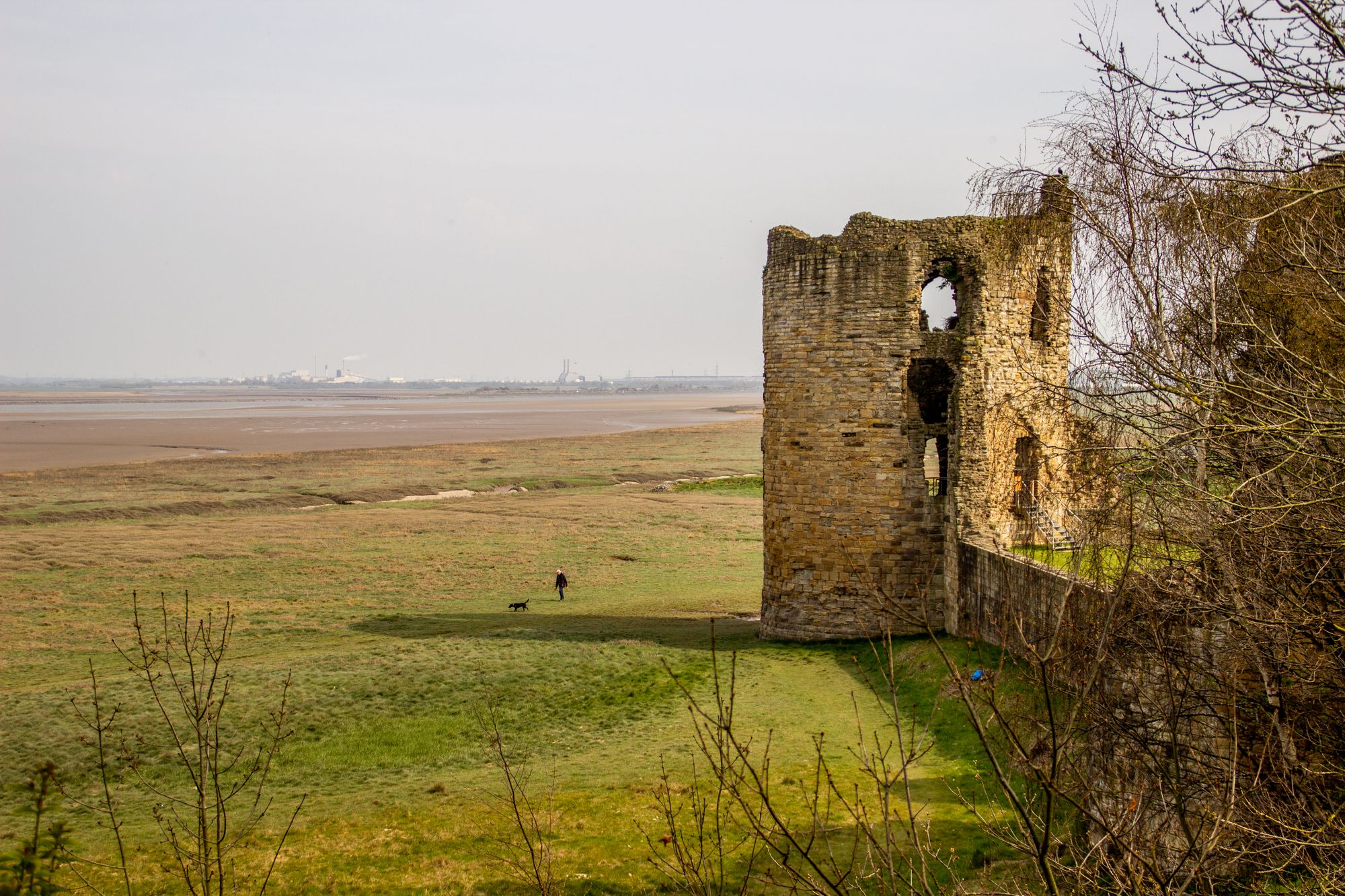 Scene By You: Photographers share their pictures from across Cheshire