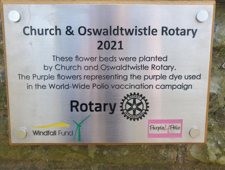 Purple blooms in Oswaldtwistle park are symbol of Polio campaign hope