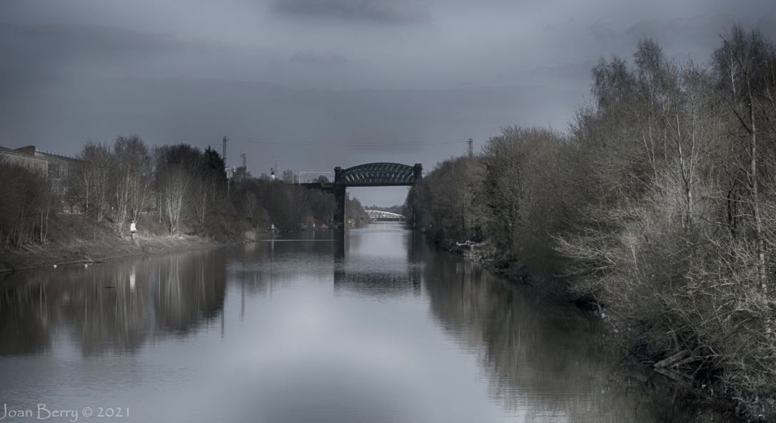 Scene By You: Photographers share their pictures taken from across Halton