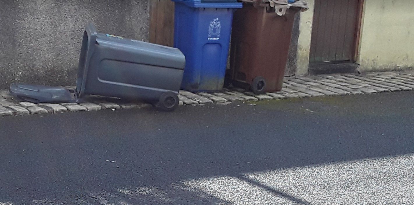 Rat concerns over ginnel 'being used as bin storage area'