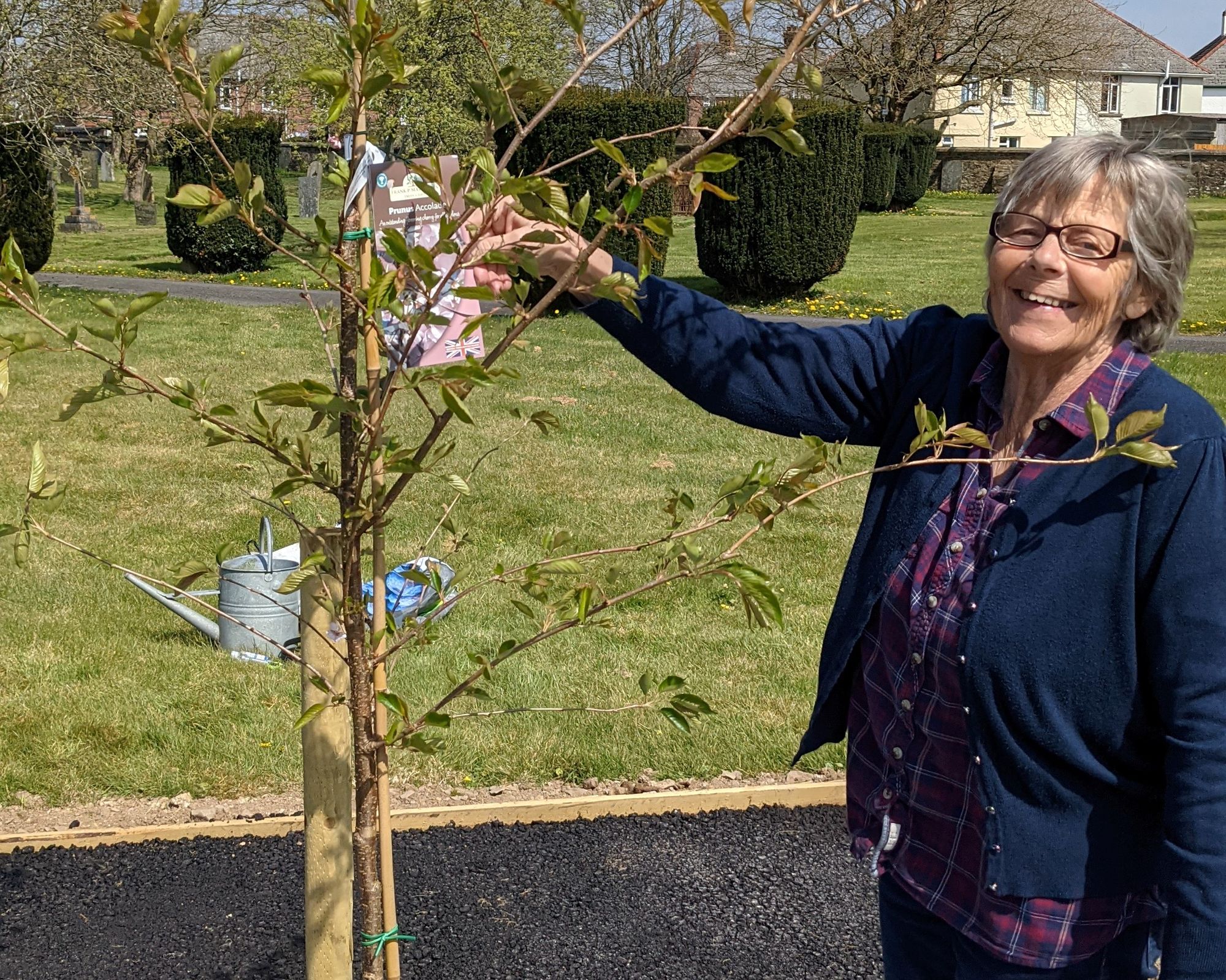 Tree planted in South Molton in memory of Prince Philip