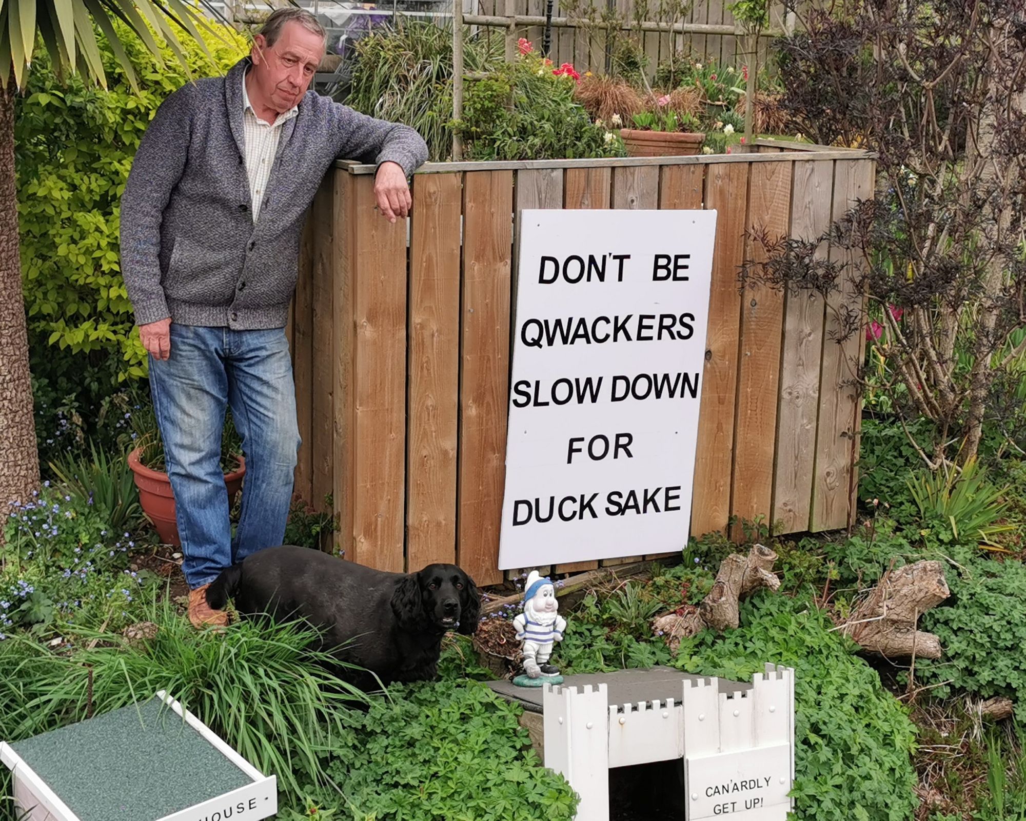 Motorists urged to slow down after five ducks 'murdered' in Cullompton