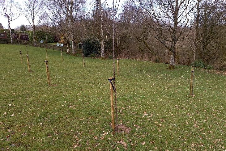 Commitment to Chorley’s green agenda accelerates
