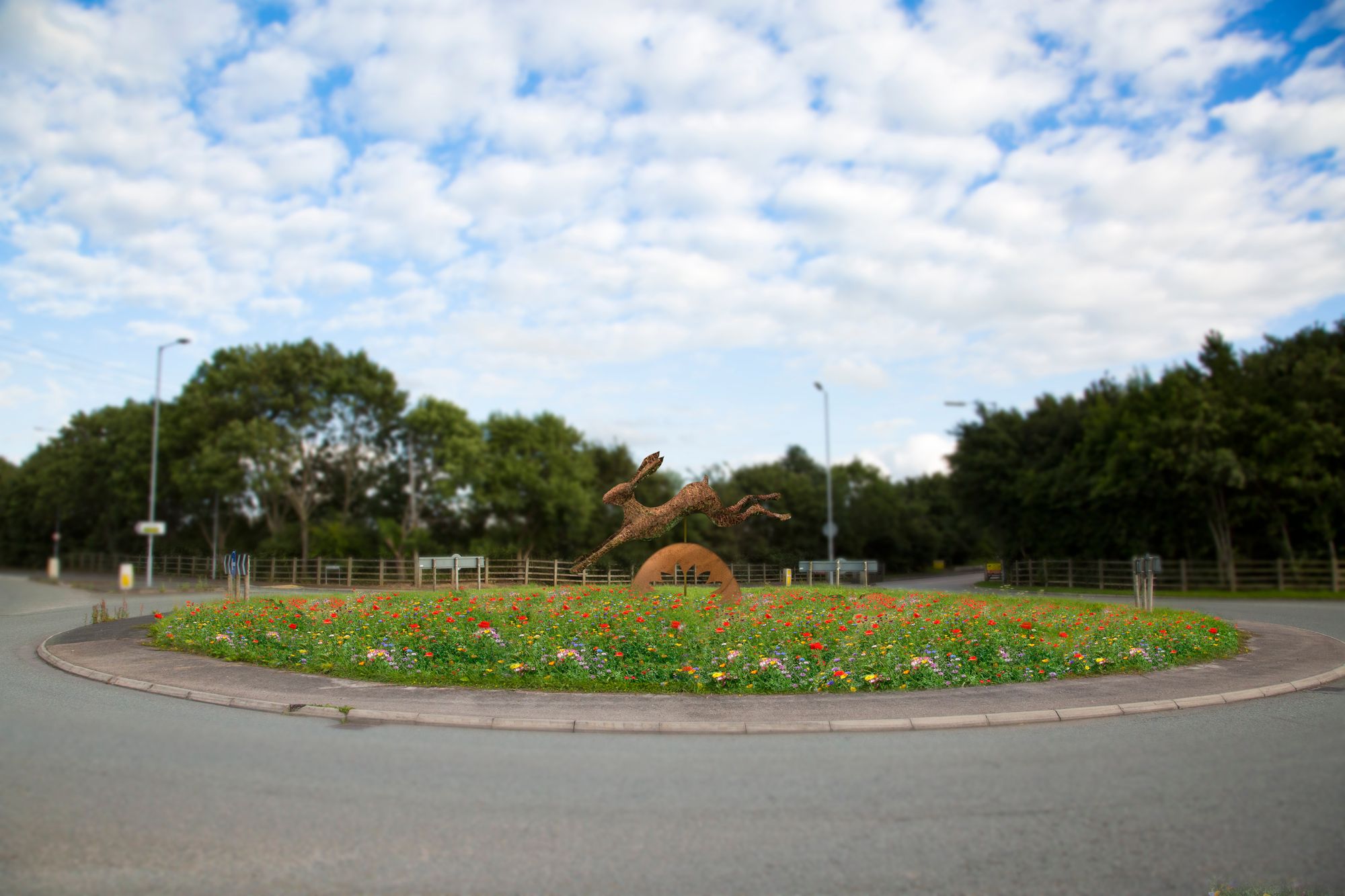 Giant brown hare leaps on to roundabout in Chester