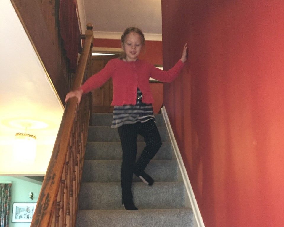Eight-year-old from Hittsleigh, 'climbs Everest' for charity