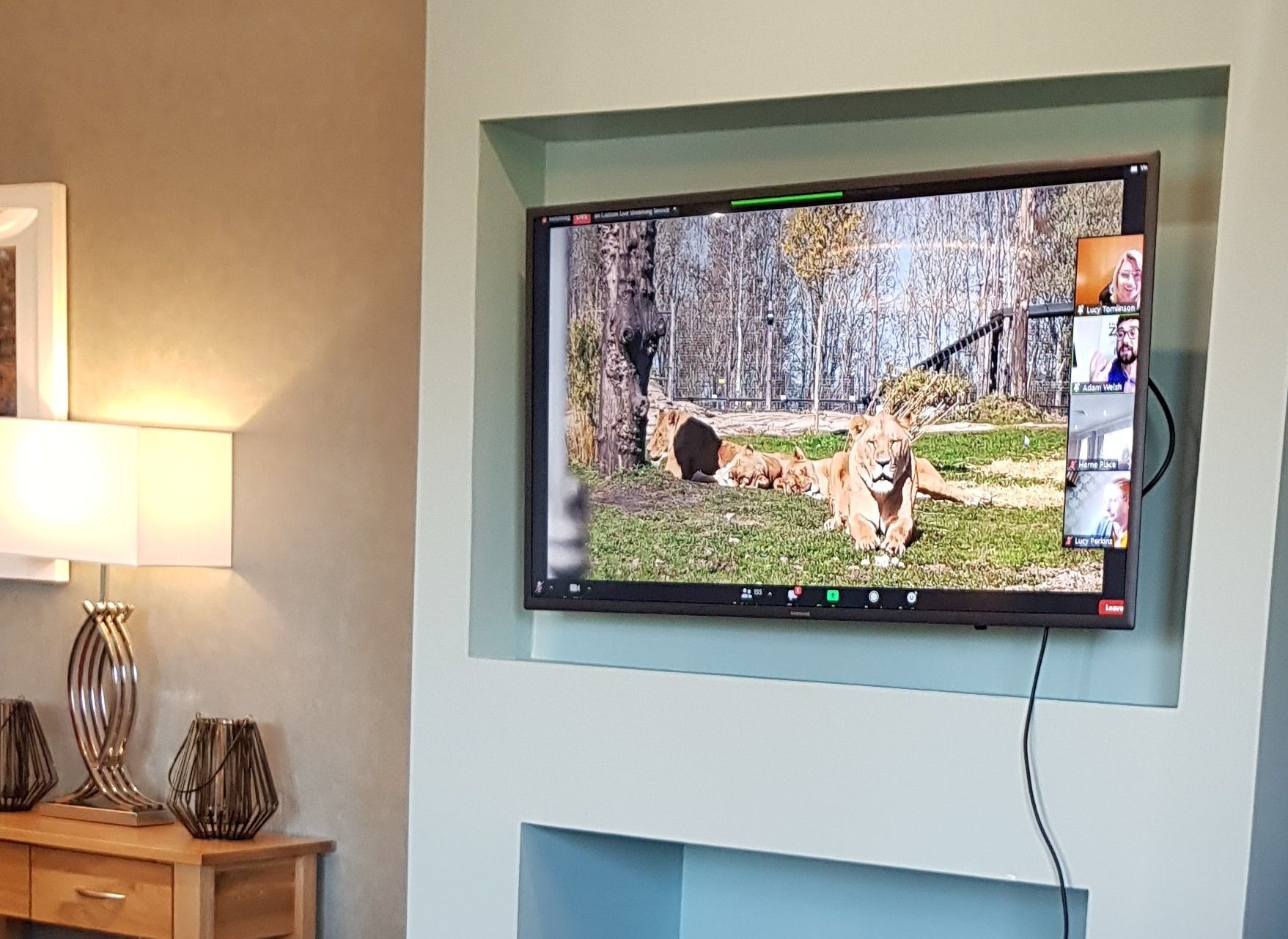 Close encounters of the furry kind for Herne Bay care home residents as they visit Five Sisters Zoo