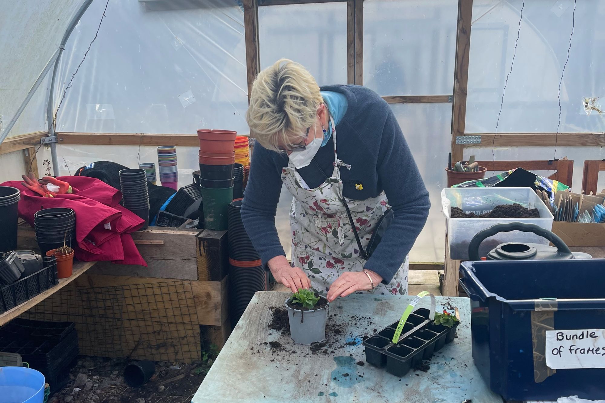 Merseyside charity appeals for garden support after break-ins