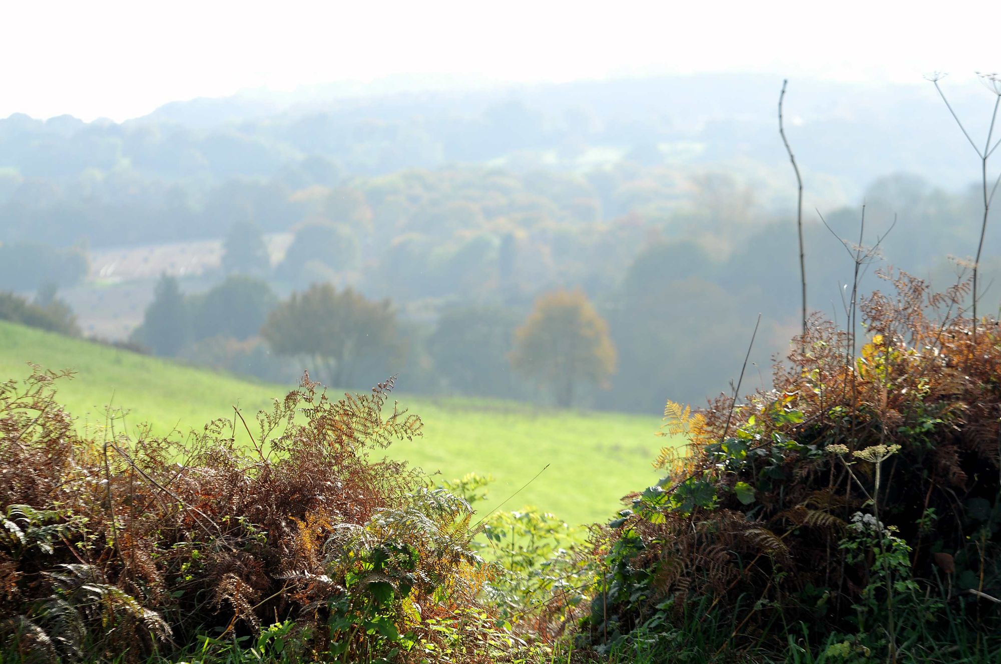 Sevenoaks planners must start again as Local Plan judicial review refused