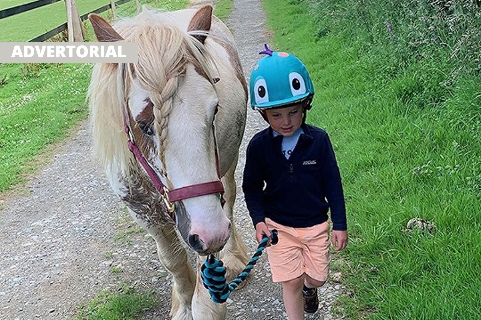 Cash injection for Cornish animal-based children’s mental health therapy