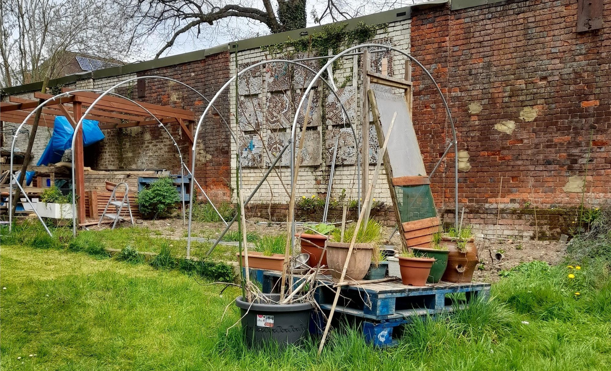 St Albans charity asks volunteers for help this National Gardening Week